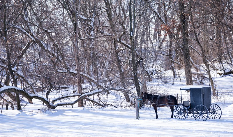 Fun Family Winter Weekend Getaways Near Me