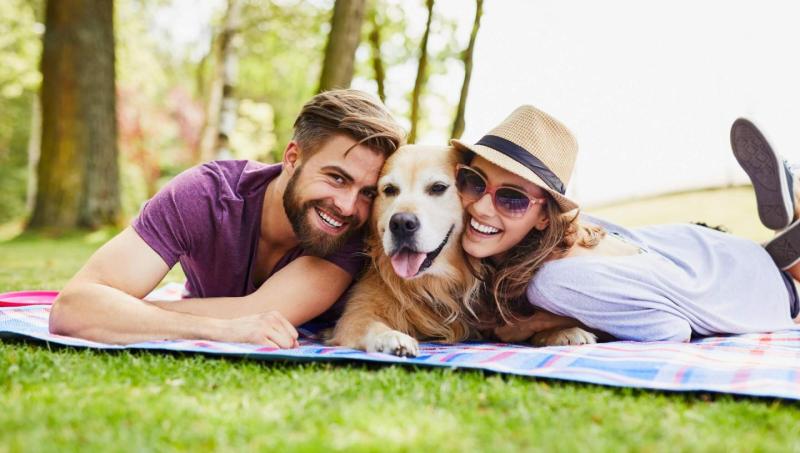 Pet Friendly Vacation Spots Near Me