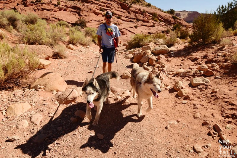 Places To Go Hiking Near Me Dog Friendly