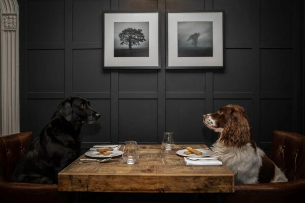 Best Dog Friendly Restaurants Keswick