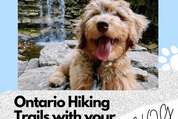 Dog-friendly Day Trips Ontario