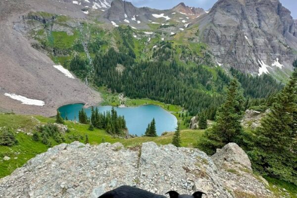 Best Dog Friendly Hikes Near Me