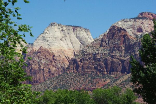 Dog Friendly Lodging Zion National Park