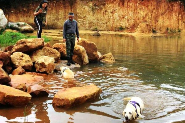 Dog Friendly Resorts Near Bangalore