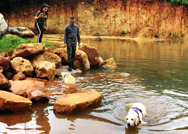 Dog Friendly Resorts Near Bangalore