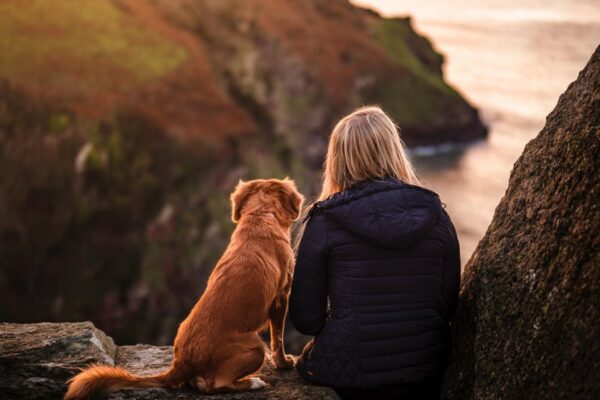 Dog Friendly Holidays Wales