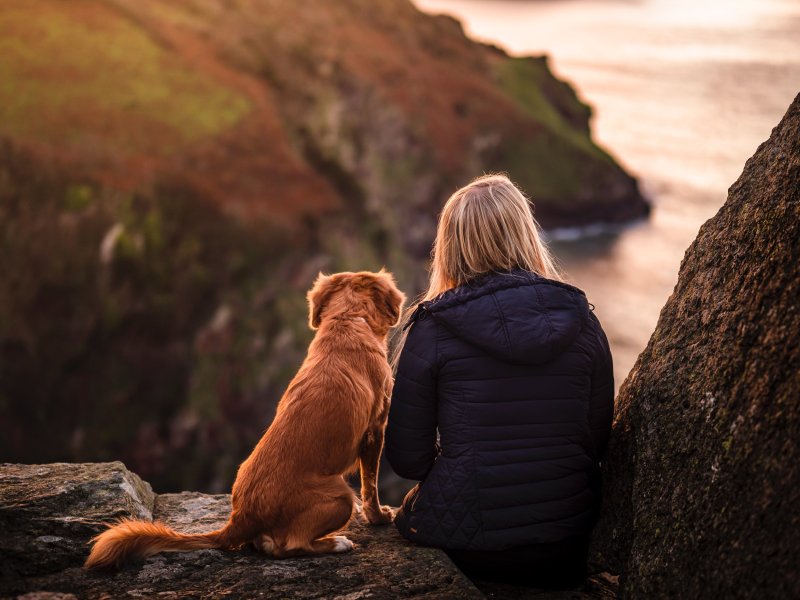 Dog Friendly Holidays Wales