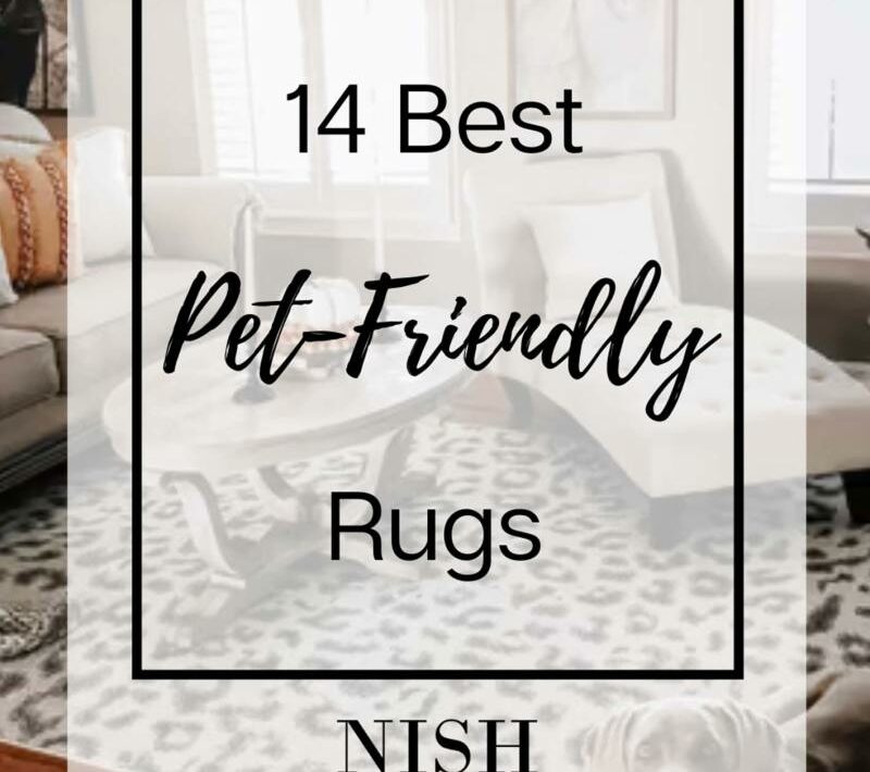 Best Dog Friendly Flooring