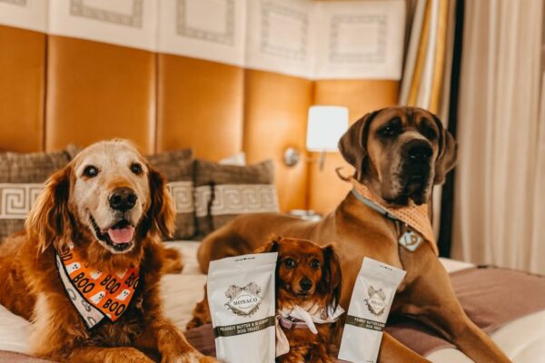 Dog Friendly Things To Do In Dc